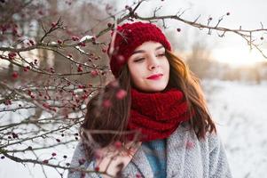 retrato de una chica gentil con abrigo gris, sombrero rojo y bufanda cerca de las ramas de un árbol cubierto de nieve. foto