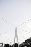 Tall white bridge in a city. Close-up photo of its ropes.