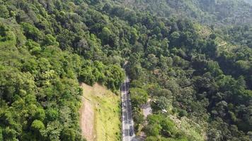 vista aérea de la carretera asfaltada en el bosque verde