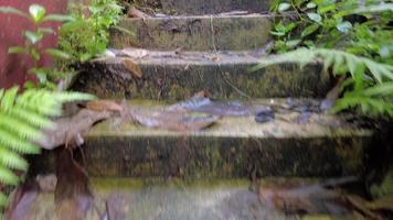 marcher lentement dans l'escalier extérieur video