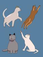 Sets of vector cats with different colored design