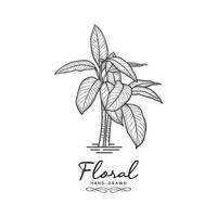 Hand drawn floral vector