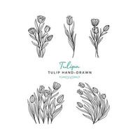 Hand drawn floral vector