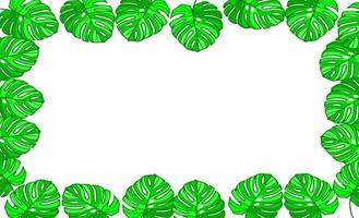 Monstera leaves  border  frame with white space for text vector