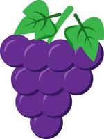 Cluster of grapes semi flat color vector object