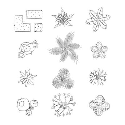 Tree Plan Outline Elements