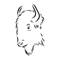 dibujo vectorial de bisonte vector