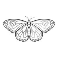 Coloring book or page for kids. Butterfly black and white vector