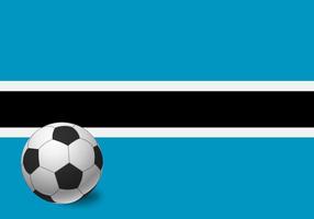 Botswana flag and soccer ball vector