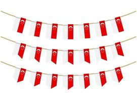 Singapore flag on the ropes on white background. Set of Patriotic bunting flags. Bunting decoration of Singapore flag vector
