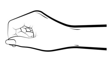 la mano femenina toma suavemente un objeto pequeño con los dedos. vector sobre un fondo blanco