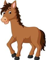 Happy horse cartoon vector