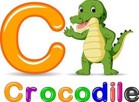 Alphabet C with Crocodile cartoon vector