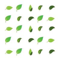 scatter leaf logo vector