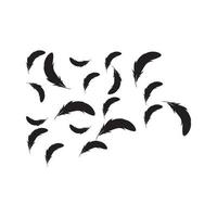 Feather logo design vector