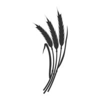 Black silhouette of ears of wheat. Bunch of oats for design. vector