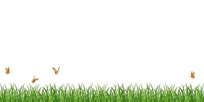 Green grass border with butterflies. Vector illustration of seamless lawn isolated on white.