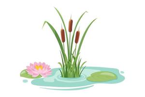 Pond with high reeds and lotus. Vector illustration of lake vegetation isolated on white. Water lily in swamp.