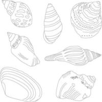 A set of hand-drawn shells. Marine kit. Linear illustrations. vector