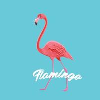 Flamingo logo vector diseño colorido