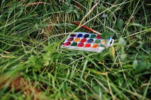 Close-up photo of watercolor palette with brush laying on the grass.