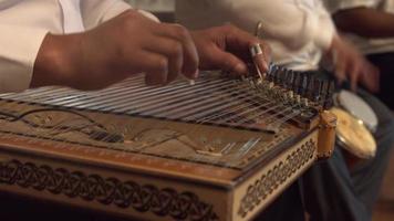 Law musical instrument. video