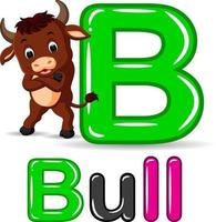 Animals alphabet B is for Bull vector