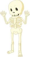 Cartoon funny human skeleton dancing vector