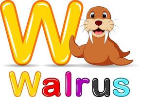 Animals alphabet W is for walrus vector