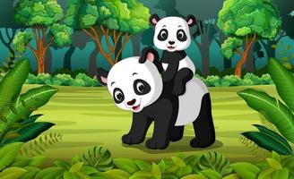 panda con panda bebé en el bosque vector