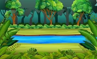 forest and river vector