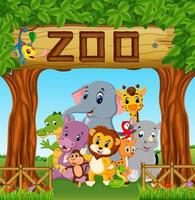collection of zoo animals with guide vector
