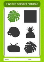 Find the correct shadows game with monstera leaf. worksheet for preschool kids, kids activity sheet vector