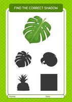Find the correct shadows game with monstera leaf. worksheet for preschool kids, kids activity sheet vector