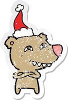 distressed sticker cartoon of a bear showing teeth wearing santa hat vector