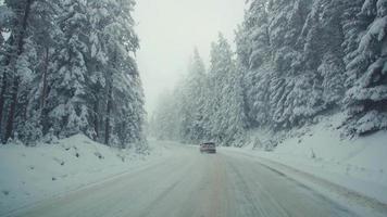 el coche está conduciendo por la carretera nevada. el coche conduce por la carretera nevada y helada, el bosque de niebla y los árboles cubiertos de nieve llaman la atención.