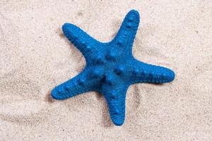 blue starfish on the sand close-up top view. Starfish on the beach. Beach summer background with sand, sea and copyspace photo