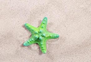 green starfish on the sand close-up top view. Starfish on the beach. Beach summer background with sand, sea and copyspace photo