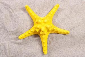 yellow starfish on the sand close-up top view. Starfish on the beach. Beach summer background with sand, sea and copyspace photo