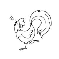 A hand-drawn rooster crows. Doodle rooster with a gorgeous tail stands on one leg with its head up and sings. Vector stock illustration of poultry isolated on white background.