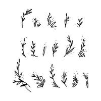 Set of hand-drawn doodle twigs. Collection of abstract black shapes of branches isolated on white. Vector illustration of a stock graphic doodle flowers and twigs isolated on a white background.