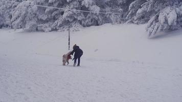 il ragazzo corre e gioca con il suo cane. ragazzo che corre con il suo cane in una giornata invernale nevosa. video