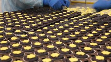 fabbrica di biscotti. biscotti preparati con gli operai in fabbrica. video