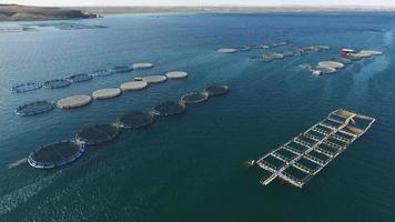 viskwekerij. aquacultuur in het meer. viskweekvijvers zijn zichtbaar in het algemene zicht vanuit de lucht. video