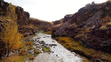 ruscello che scorre tra le scogliere in autunno. veduta aerea del torrente che scorre attraverso la valle in autunno. video