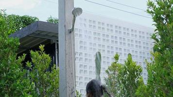 Cute little girl in swimming suits frolicking in the outdoor shower. Happy little girl enjoying in summer day and playing with water. video