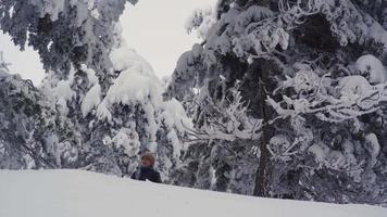 menino brincando na floresta de neve. o menino tocando a neve nas árvores nevadas e pegando a bola de neve do chão e jogando-a no ar. video