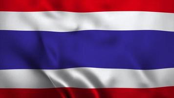 Animationsvideo Flagge unabhängiger Tag von Thailand video