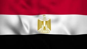 animación video bandera día independiente de egipto