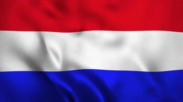 animación video bandera día independiente de holanda